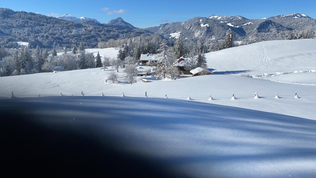 Landhaus Am Plattenbichl - Luxus Apartment Mit Privat-Pool Und Sauna - Im Sommer Bergbahn Inklusive 오버스트도르프 외부 사진